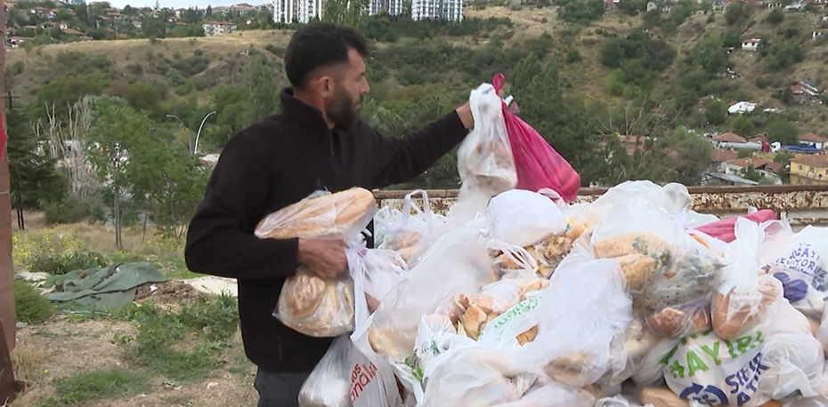 14 Aydır Ekonomik ve Hayvan Hakları İçin Ekmekleri Çöpten Kurtarıyor