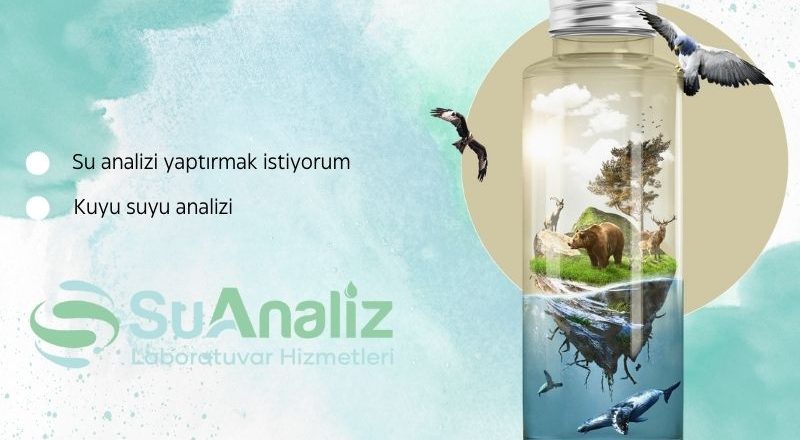 Su Analizi Yaptırmak İstiyorum – Nereden Başlamalıyım?