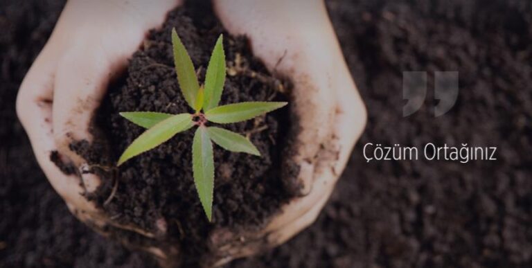 Ankara ÇED Raporu ile Projenizi Çevresel Etkilere Karşı Koruyun