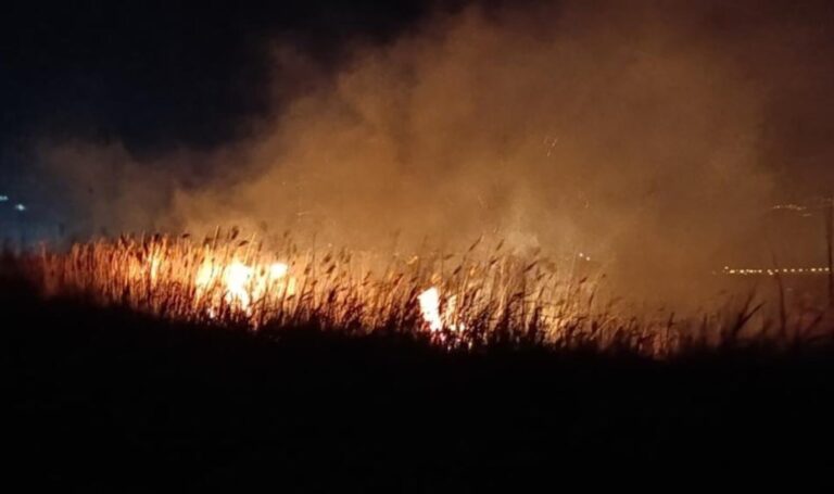 Göksu Deltası’nda yangın: ‘Yanmaktan kaçmaya çalışan yüzlerce göçmen kuş…’ – Son Dakika Türkiye Haberleri