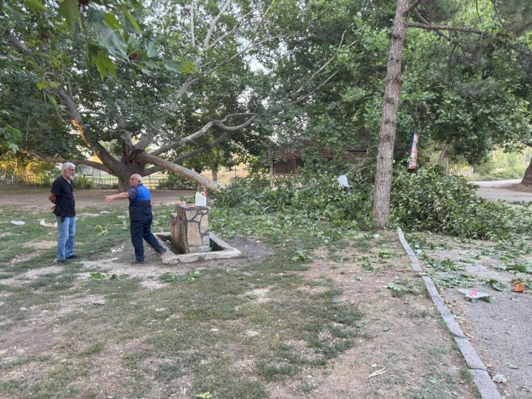 Piknik bölgesindeki ağaç dalı vatandaşlarda devrildi: 11 yaralı 2