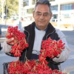 “Gençliği Tazelemenin Sırrı: Doğal Meyve Tezgahlarda”