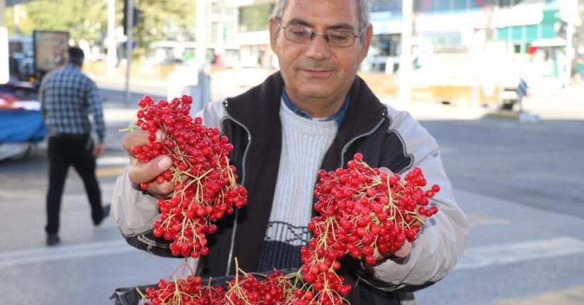 “Gençliği Tazelemenin Sırrı: Doğal Meyve Tezgahlarda”
